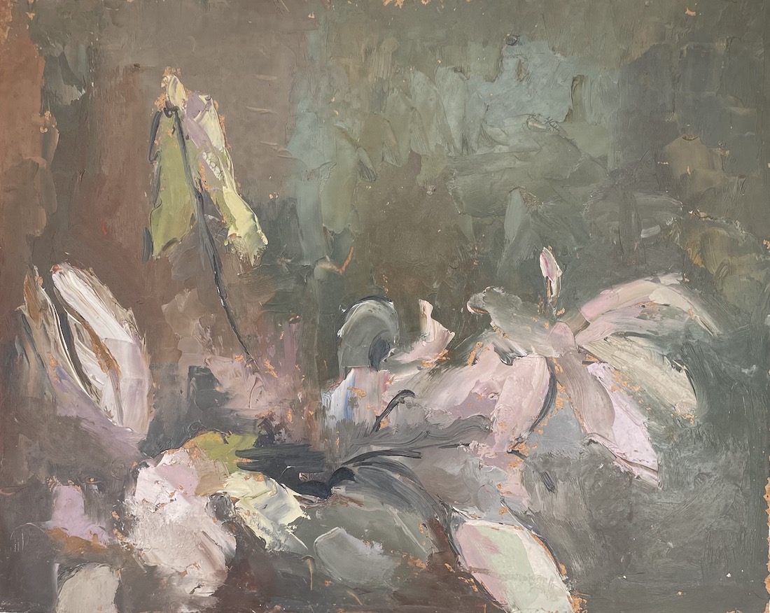 Magnolia